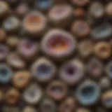A stunning display of various natural geodes showcasing their intricate formations.