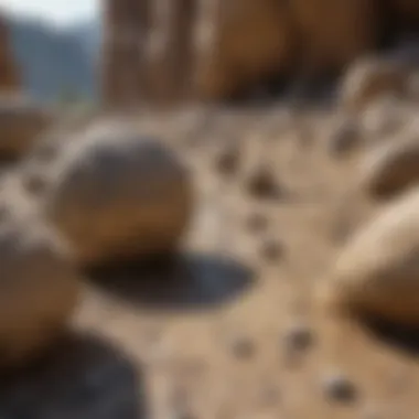 Immersing in the Natural Habitat of Concretions Concretions in Natural Setting