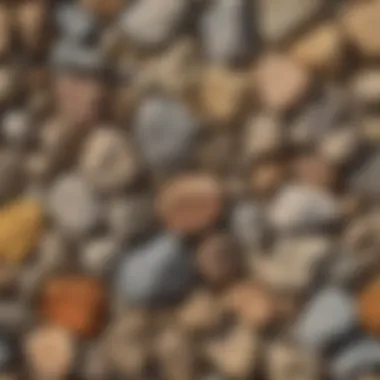 An assortment of various rock types found in Nevada, highlighting their distinct characteristics.