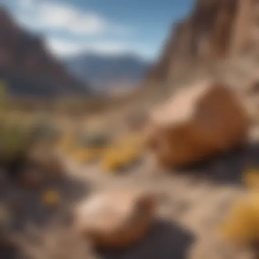 A stunning view of Nevada's diverse rock formations showcasing unique geological features.