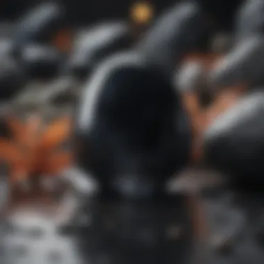 Obsidian's Mystical Charms Obsidian's Mystical Charms