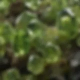 Close-up view of olivine crystals showcasing their vibrant green color and unique formation.