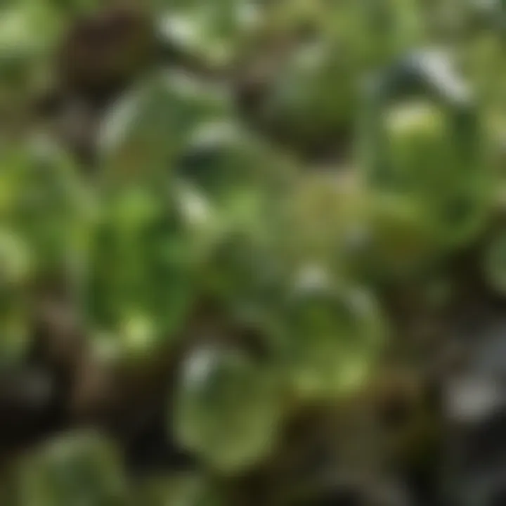Close-up view of olivine crystals showcasing their vibrant green color and unique formation.