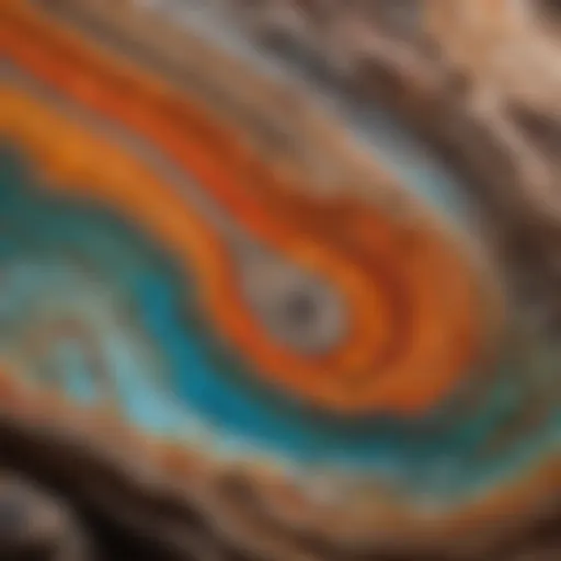 Close-up view of opalized petrified wood showcasing vibrant colors and patterns