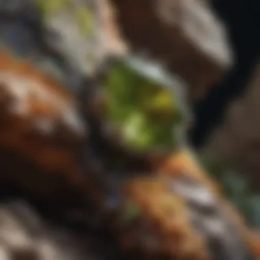 Peridotite's Unique Geological Structure