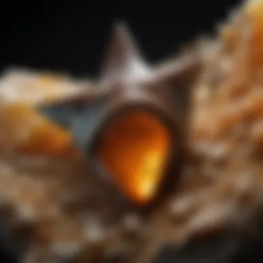 Intriguing Find: Shark Tooth Preserved in Amber Shark Tooth Fossilized in Amber