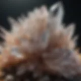 Mesmerizing Quartz Crystal Cluster Formation