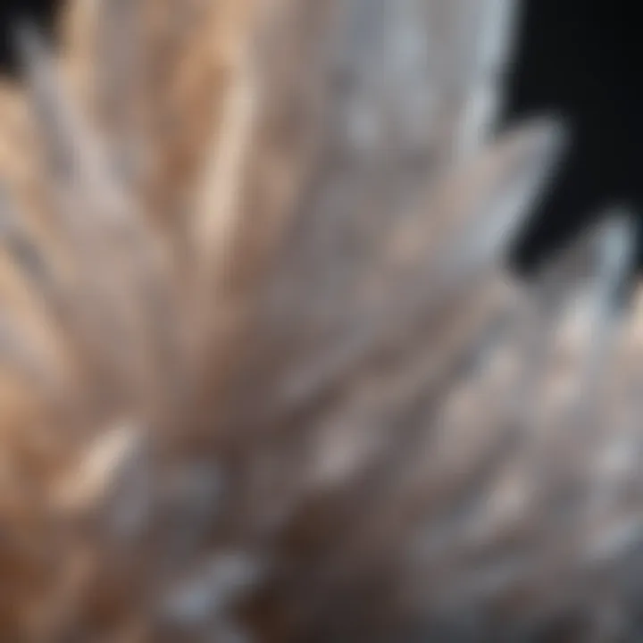 Quartz Rock Crystal Structure Close-Up