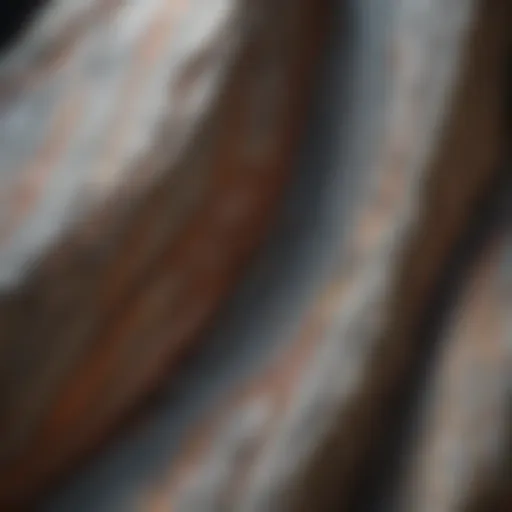 Ethereal Quartzite Veins
