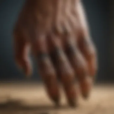 Raptor Claw authentication process with advanced technology