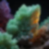 Jade under UV light showing fluorescence