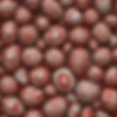 Intricacies of Red and White Stone Patterns Intricate patterns in red and white hues