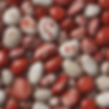 Crimson and Ivory: Nature's Artistic Blend Nature's artistry in crimson and ivory