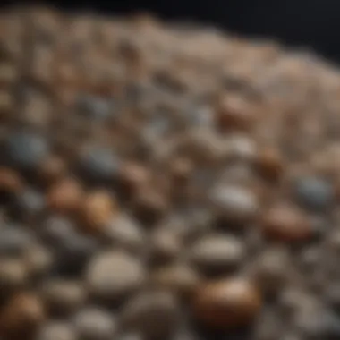 Artistic Rock Collection Showcase Rock Collection Display