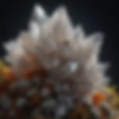 Intricate Rock Crystal Cluster Natural Crystal Cluster in Rock