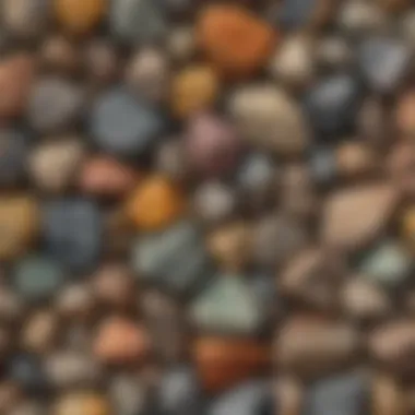 Rocks of Varied Textures and Colors