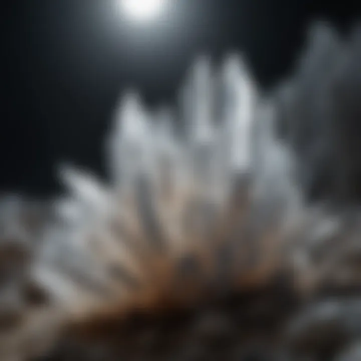 Selenite Crystal Formation in Moonlight