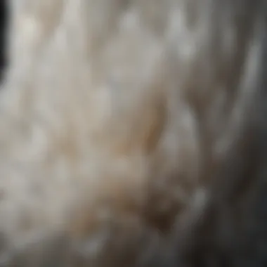 Close-up view of selenite structure showcasing its unique texture