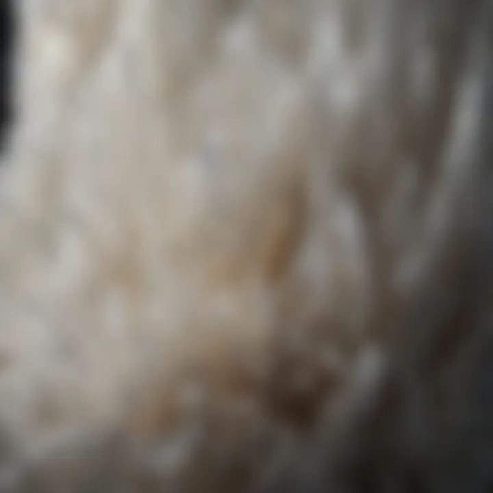 Close-up view of selenite structure showcasing its unique texture