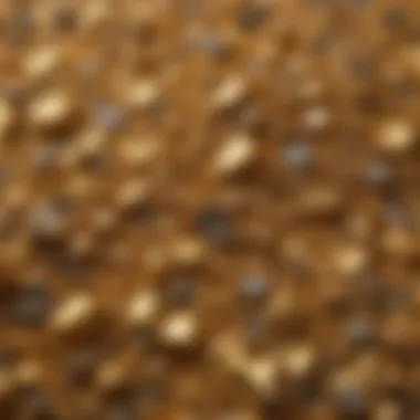 Shiny gold paydirt sample under magnification