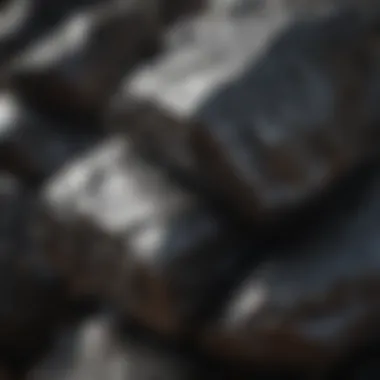 Shungite protecting against radiation