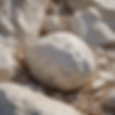 Close-up of a single smooth white rock highlighting its mineral composition