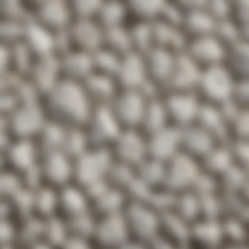 A collection of smooth white rocks showcasing various textures and shapes