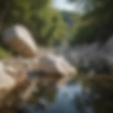 Smooth White Rocks in Their Natural Habitat Natural setting where smooth white rocks can be found along a riverbank