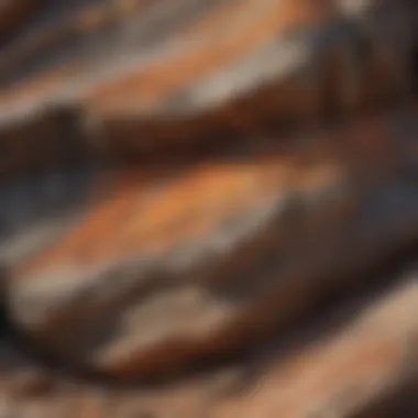 Spectacular Metamorphic Rock Layers