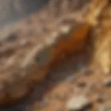 Splendid geological formations in unsearched gold paydirt