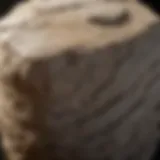 Eco-friendly stone care product