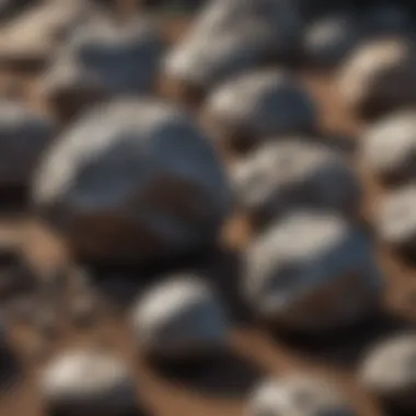 Stone Meteorites Types