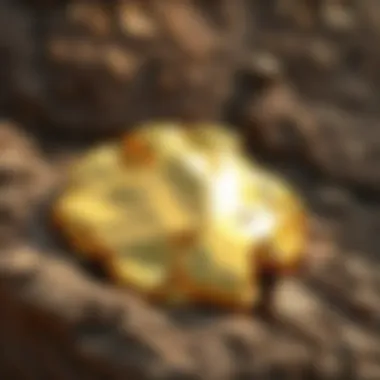 Notable The Allure of Gold on Rock: A Comprehensive Exploration