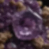 Stunning deep purple Uruguay amethyst cluster showcasing exceptional clarity