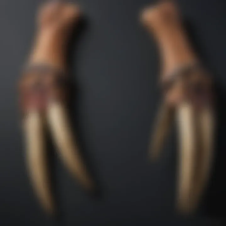 Side-by-side comparison of authentic and replica raptor claws