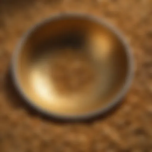 A close-up view of a gold sifting pan with glimmers of gold flecks.