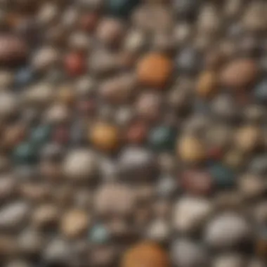 Diverse Geological Collection Diverse collection of geological specimens showcasing personal expression