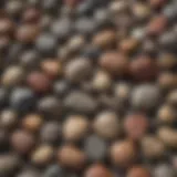 A collection of various rock polishers showcasing their designs and features