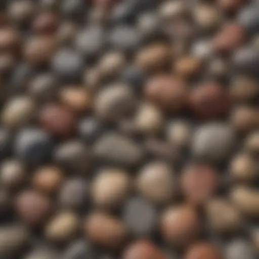 A collection of various rock polishers showcasing their designs and features