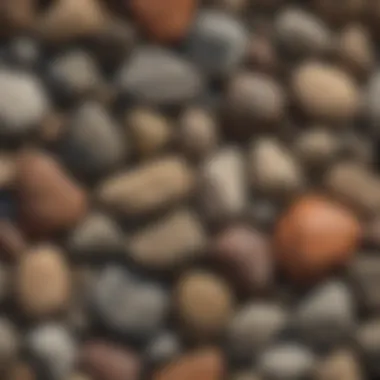 An assortment of common rock types identified in Washington State.