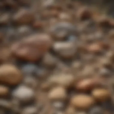 A close-up view of diverse rock formations found in Washington State.