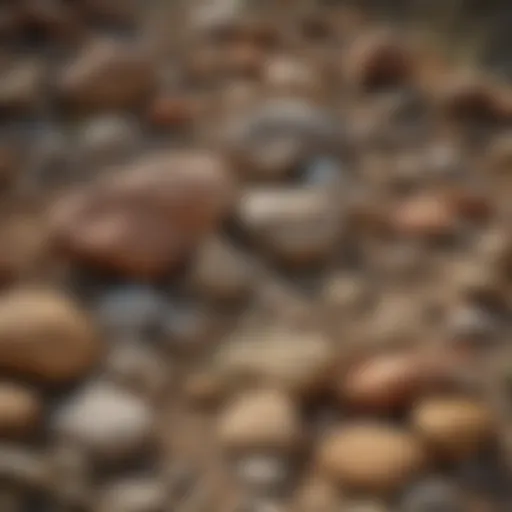 A close-up view of diverse rock formations found in Washington State.