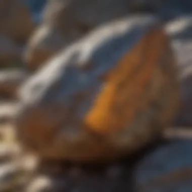 A detailed guide highlighting identification techniques for rocks.