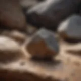 Close-up view of a small rock pick resting on a textured rock surface