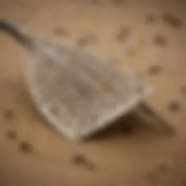 Close-up of a sand flea rake showcasing its intricate design.