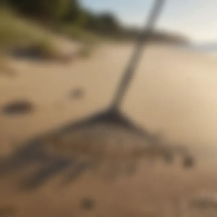 A sand flea rake in action on a sandy beach environment.