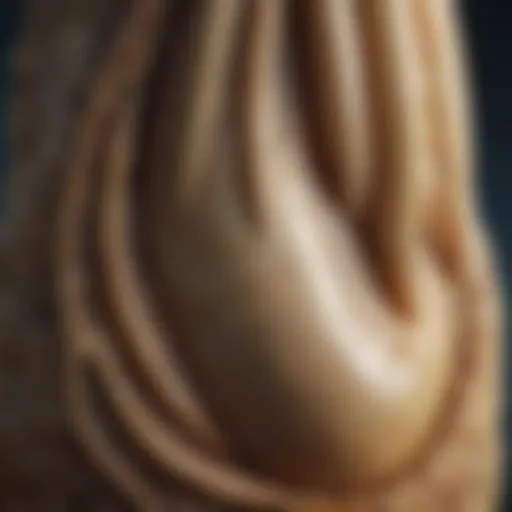 Close-up of a Mosasaurus tooth showcasing its unique morphology