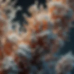 Microscopic view of zeolite structure showcasing its unique molecular framework