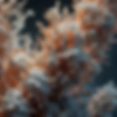 Microscopic view of zeolite structure showcasing its unique molecular framework