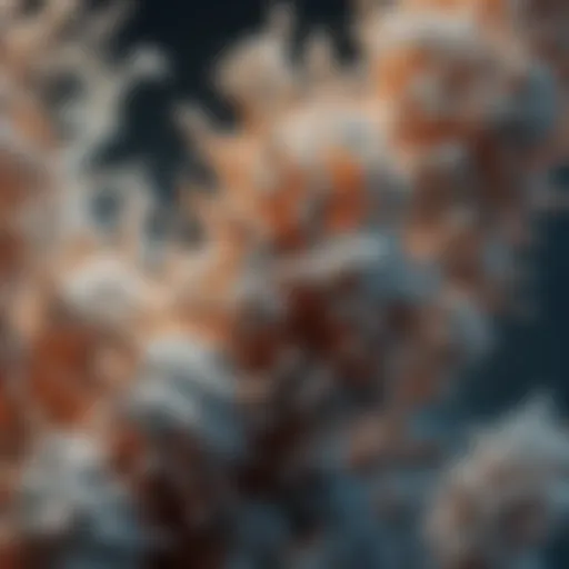 Microscopic view of zeolite structure showcasing its unique molecular framework